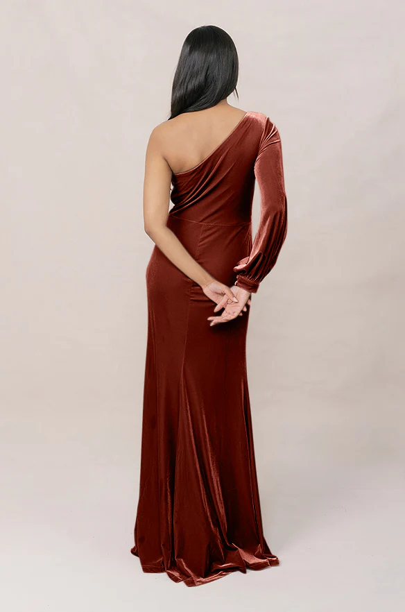 Aurora Velvet Dress | Made To Order - Image 50