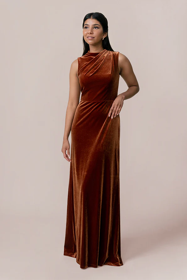 Diana Velvet Dress | Made To Order - Image 4